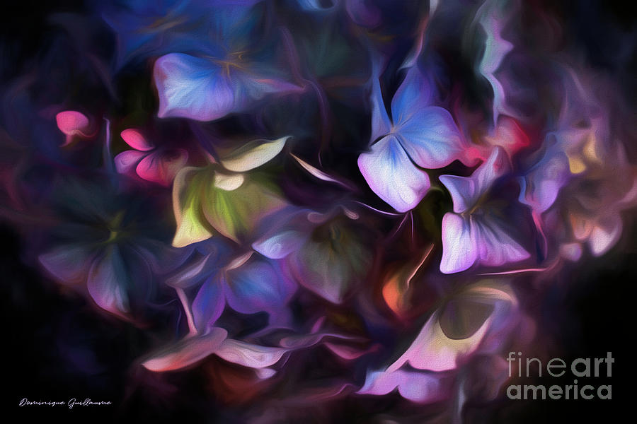 Petals of Hydrangea by Dominique Guillaume Petals of Hydrangea by Dominique Guillaume