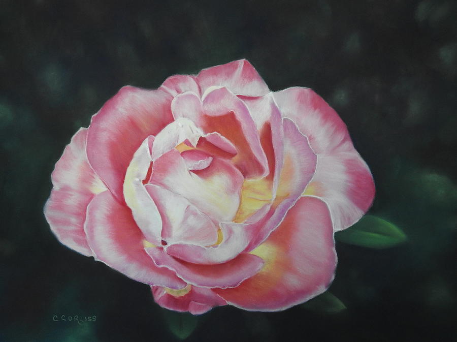 Petals Of Love Pastel by Carol Corliss