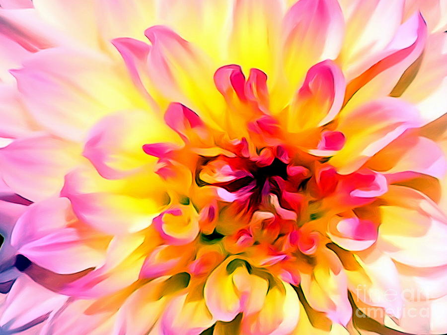 Petals Of Passion Photograph by Ed Weidman | Fine Art America