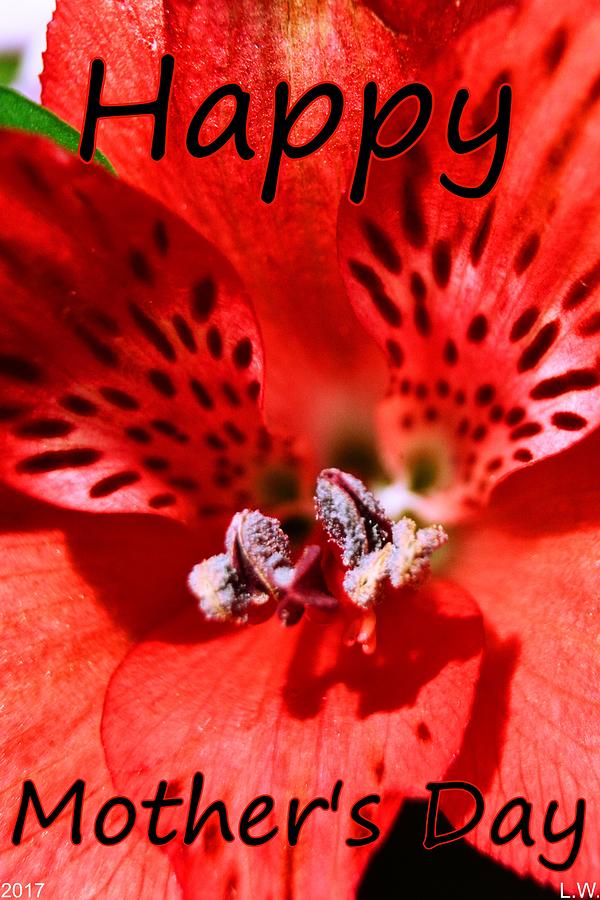 Petals Of Red Happy Mothers Day Photograph by Lisa Wooten