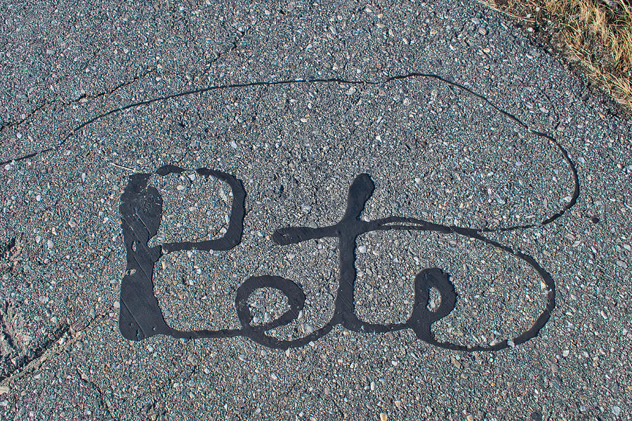Pete Was Here Photograph by Cathy Mahnke