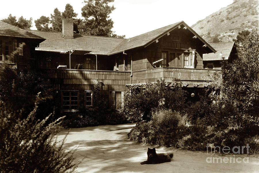 Peter Pan Photograph - Peter Pan lodge  was located in the Carmel Highlands by Monterey County Historical Society