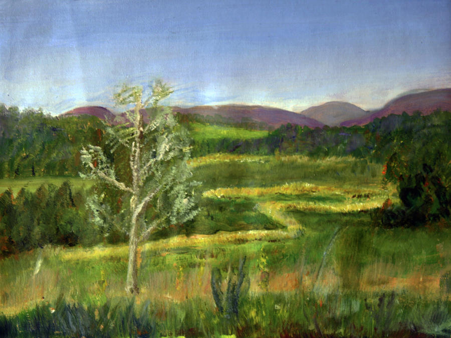 Petes Riparian Forrest Buffer Painting by Donna Walsh