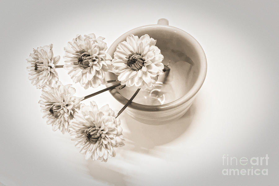 Petit Bouquet Photograph by Onedayoneimage Photography