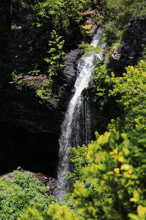 Petit Jean Waterfalls Photograph by Ester McGuire