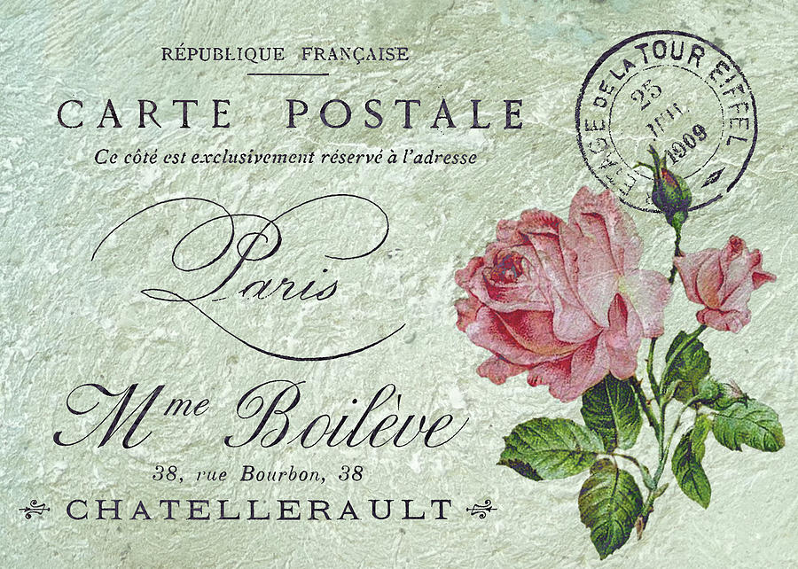 Pink Roses Digital Art - Petit Rose Confection by Sarah Vernon Pink Roses Digital Art - Petit Rose Confection by Sarah Vernon