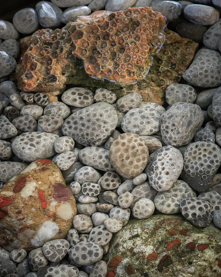 Petoskey and Pudding Stones Photograph by William Christiansen