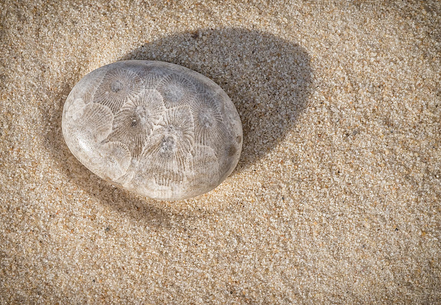 Petoskey in the Sand Photograph by Matt Hammerstein