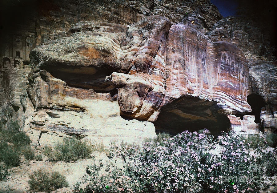 Petra, Transjordan: Cave Photograph by Granger