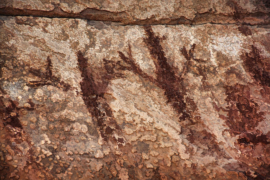 Honanki Pictographs3 Pnt Photograph by Theo OConnor