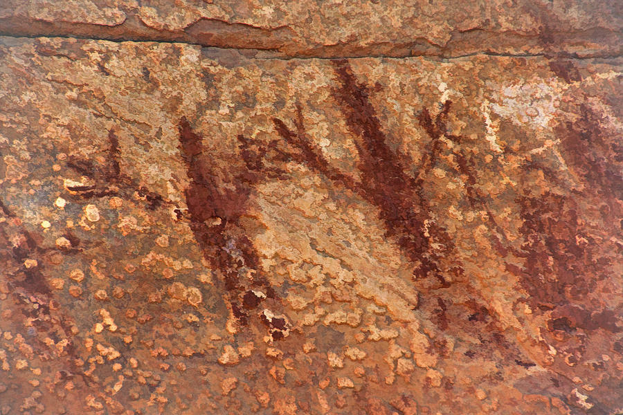 Honanki Pictographs3 Tnd Photograph by Theo OConnor
