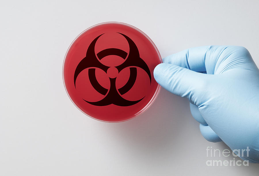 Petri Dish With Biohazard Symbol Photograph by George Mattei