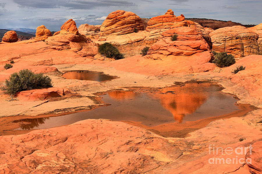 Landscape Photograph - Petrified Desert Sand Dune Reflections by Adam Jewell