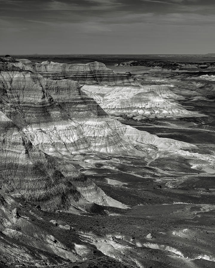 Petrified Forest Photograph - Petrified Forest Mesa by Joseph Smith Petrified Forest Photograph - Petrified Forest Mesa by Joseph Smith