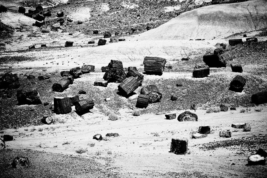 Black And White Photograph - Petrified Forest National Park #3 by Robert J Caputo