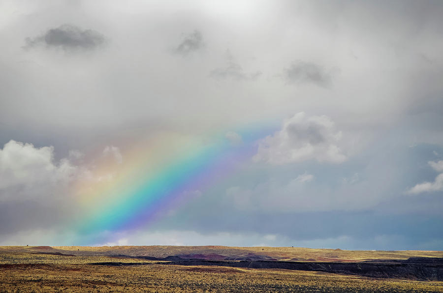 Petrified Forest National Park Rainbow Photograph by Kyle Hanson