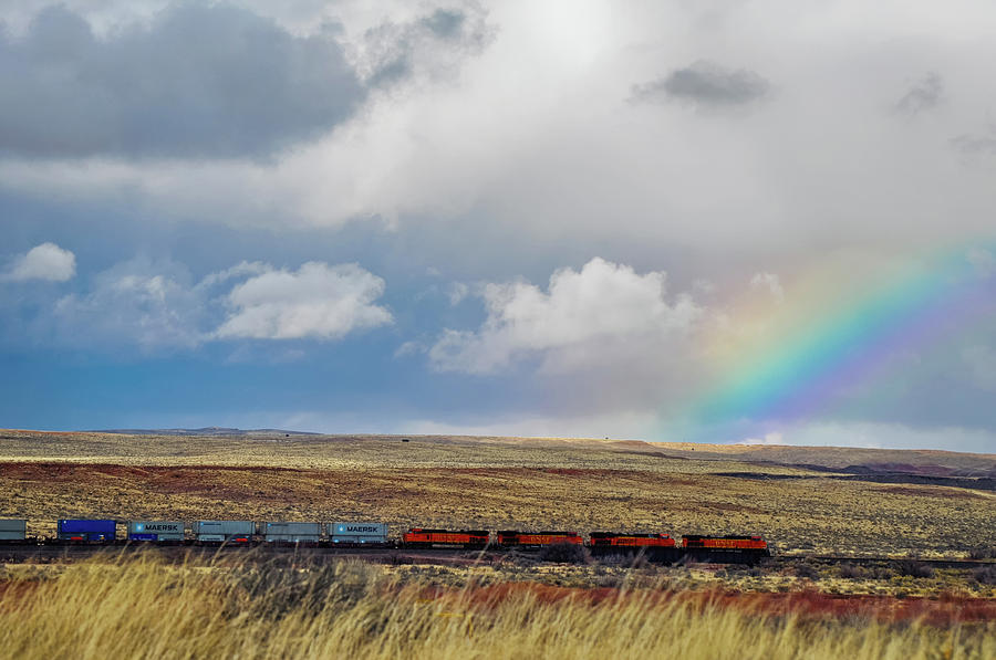 Petrified Forest Rainbow Railroad Photograph by Kyle Hanson