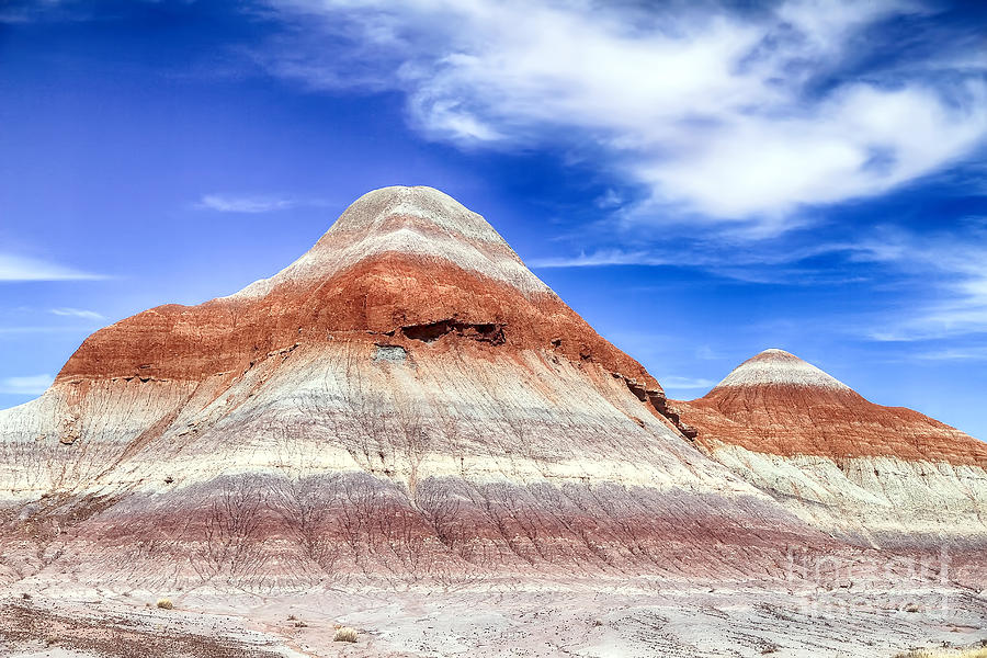 Petrified Forest Teepees Photograph by Teresa Zieba