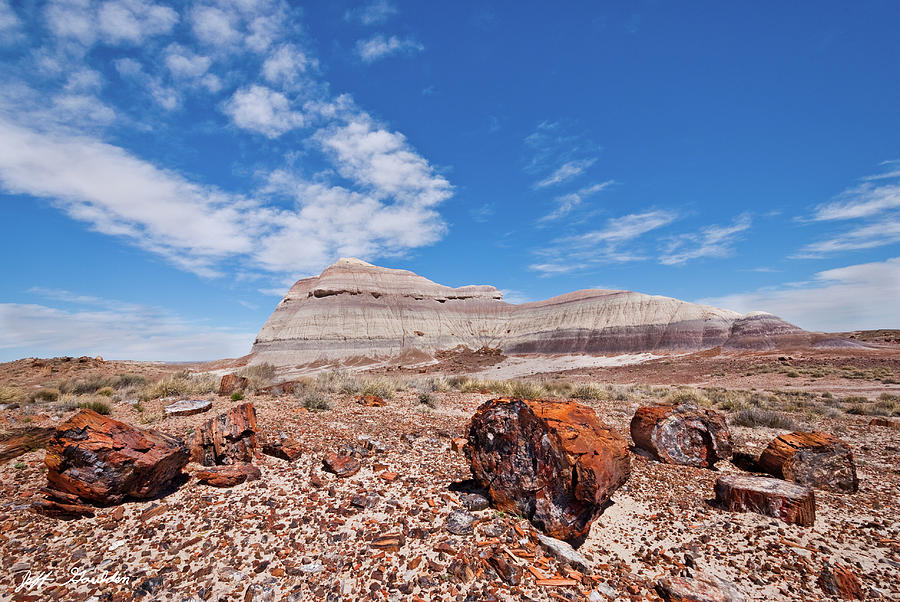 Petrified Logs at Crystal Forest Photograph by Jeff Goulden
