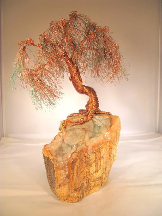 petrified wood-willow sculpture by judy byington