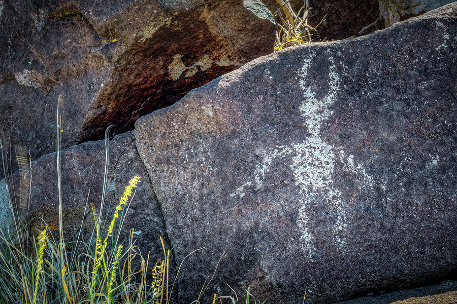 Petroglyph 2 Photograph by James Barber