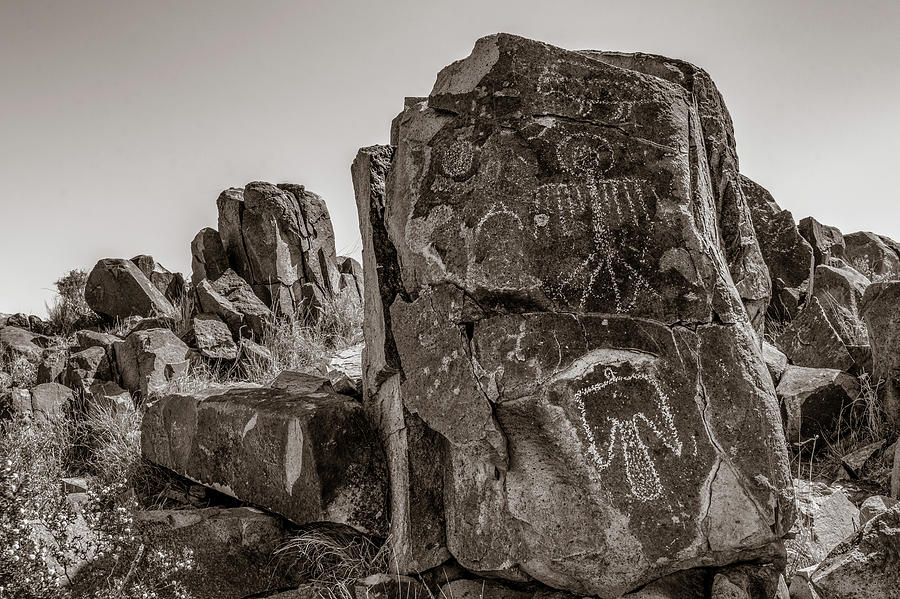 Petroglyph 3 Sepia Photograph by James Barber