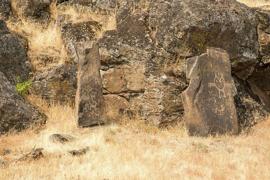 Petroglyph  3 Photograph by Tom Cochran