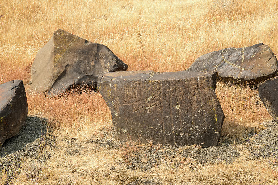 Petroglyph  6 Photograph by Tom Cochran