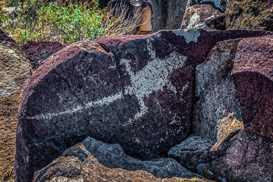Petroglyph 7 Photograph by James Barber