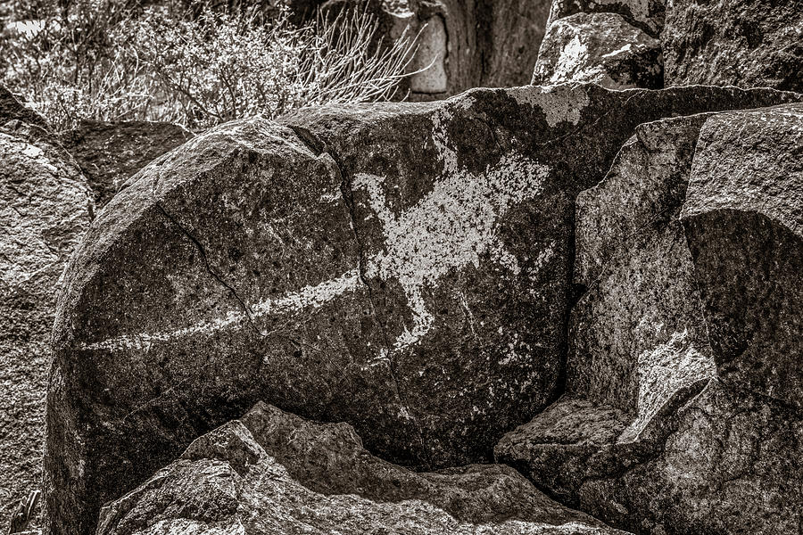 Petroglyph 7 Sepia Photograph by James Barber
