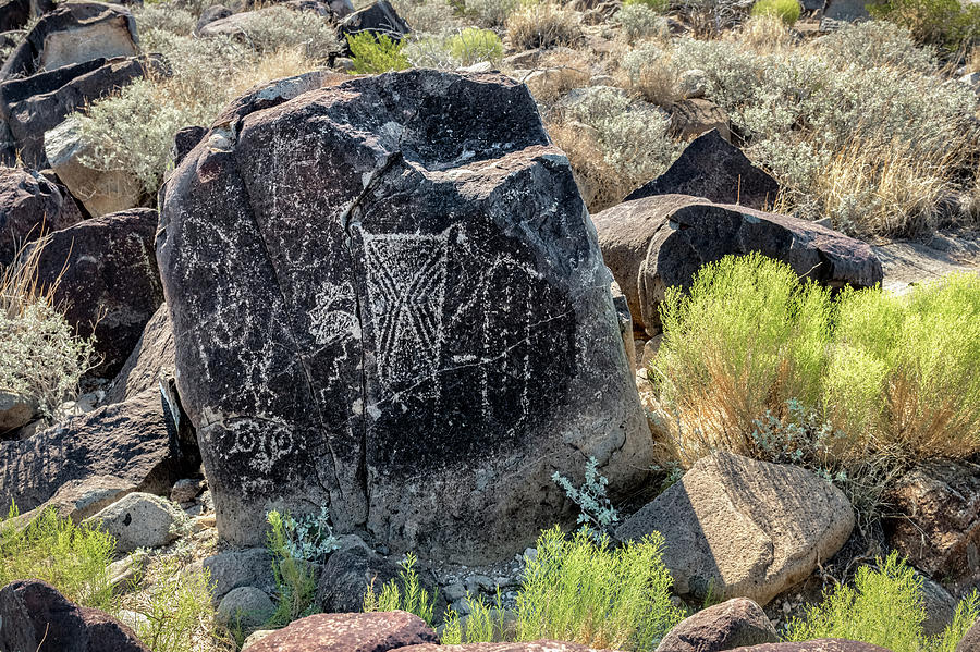 Petroglyph 9 Photograph by James Barber