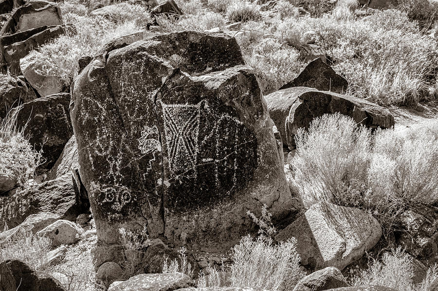 Petroglyph 9 Sepia Photograph by James Barber