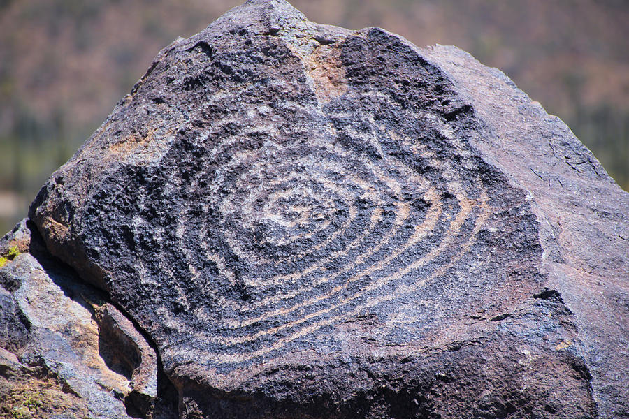 Petroglyph Photograph by Kevin Mcenerney