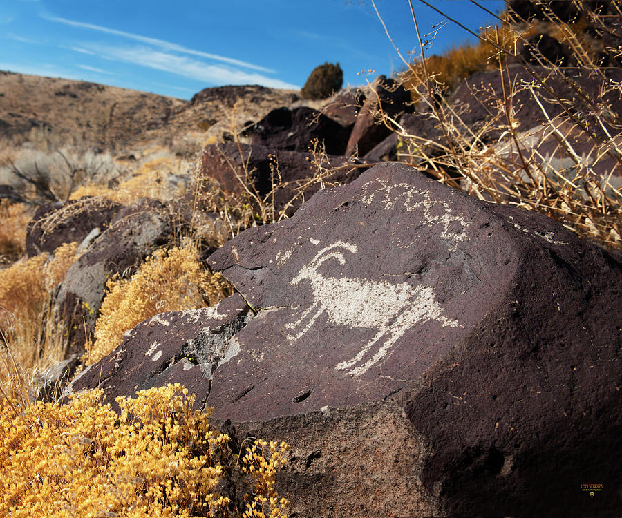 Petroglyph - near Reno, Nevada Photograph by Steve Ellison