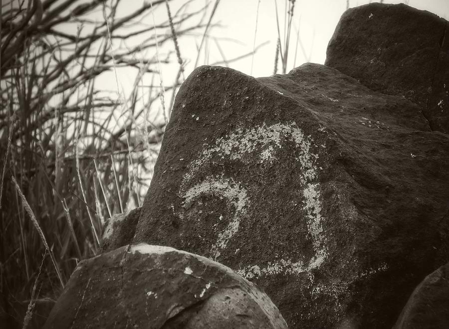 Raven Petroglyph Photograph