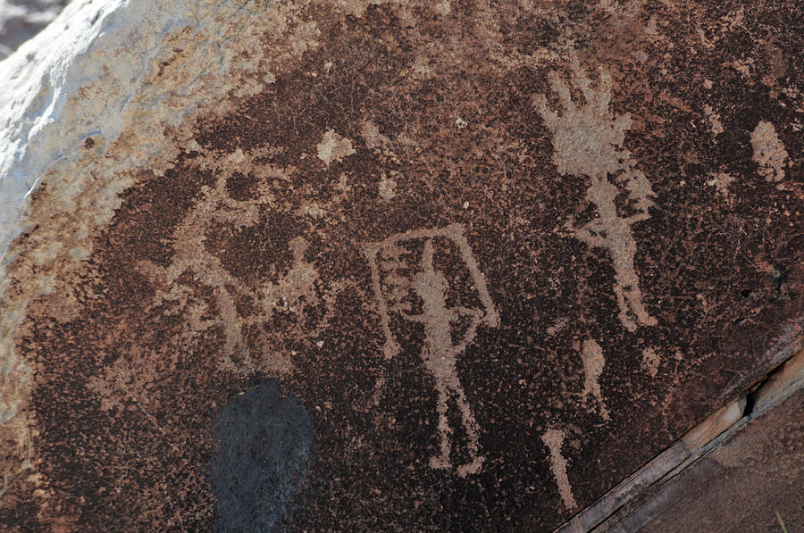 Petroglyph Petrified Forest Photograph by David Arment
