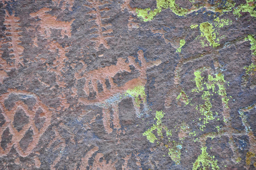Petroglyph Wolf Attack Photograph by David Arment