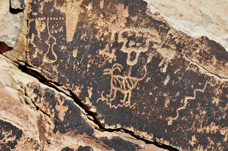 Petroglyphic Antelope Photograph by David Arment