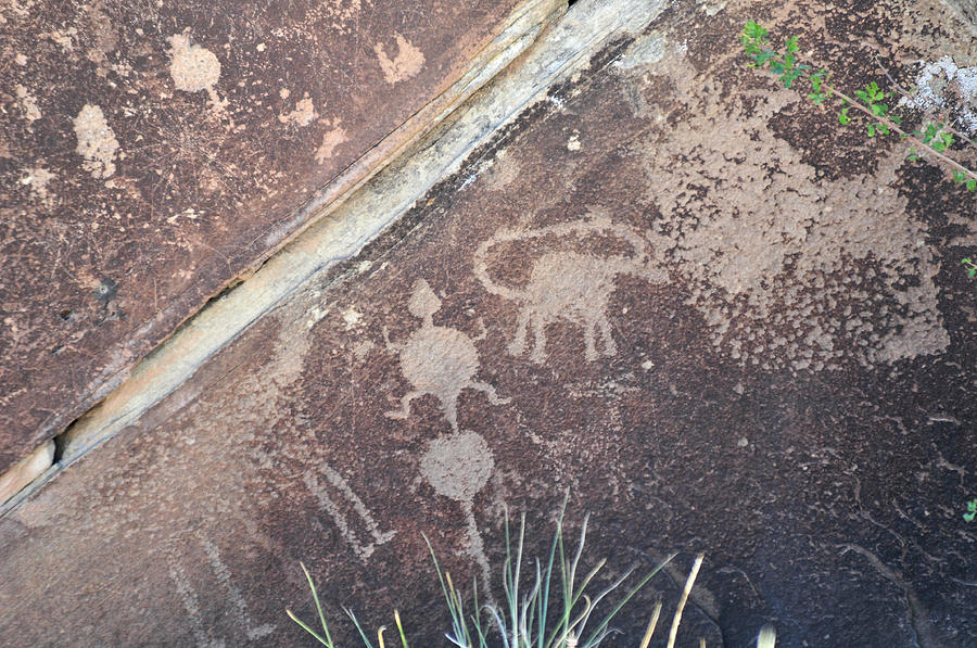 Petroglyphic Turtle Photograph by David Arment