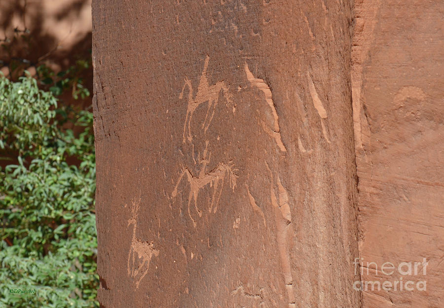 Petroglyphs Hunting Photograph by Debby Pueschel
