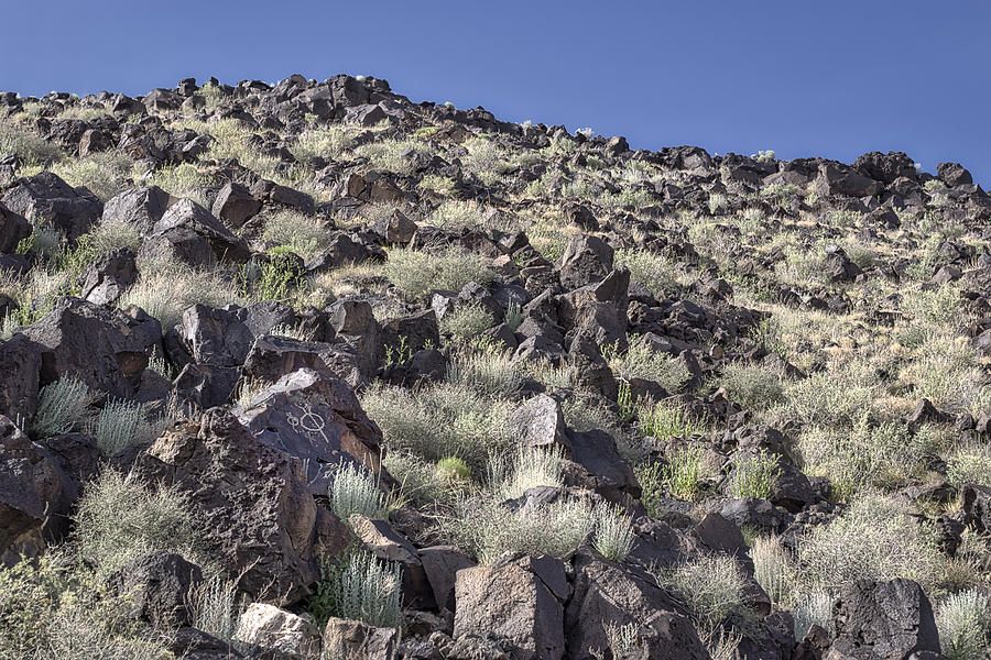 Petroglyphs I - Albuquerque - New Mexico Photograph by Steven Ralser