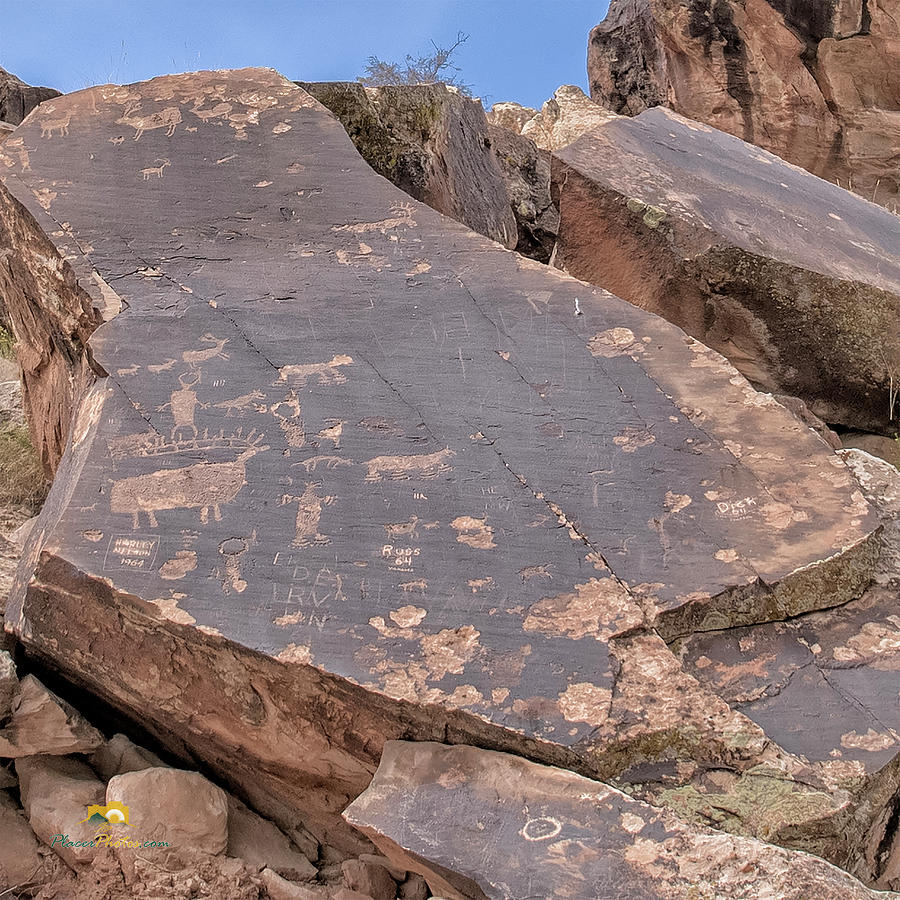 Petroglyphs Photograph by Jim Thompson