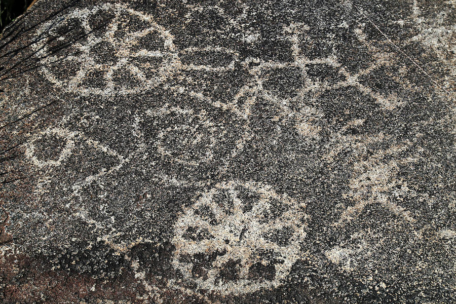 Petroglyphs Photograph by Mary Bedy