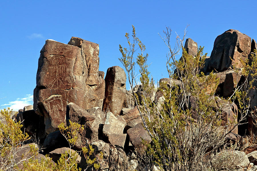 Petroglyphs of the Chihuahuan Desert Photograph by Nicholas Blackwell
