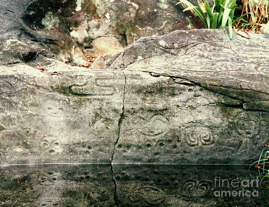Petroglyphs on St. John Photograph by Phil Perkins