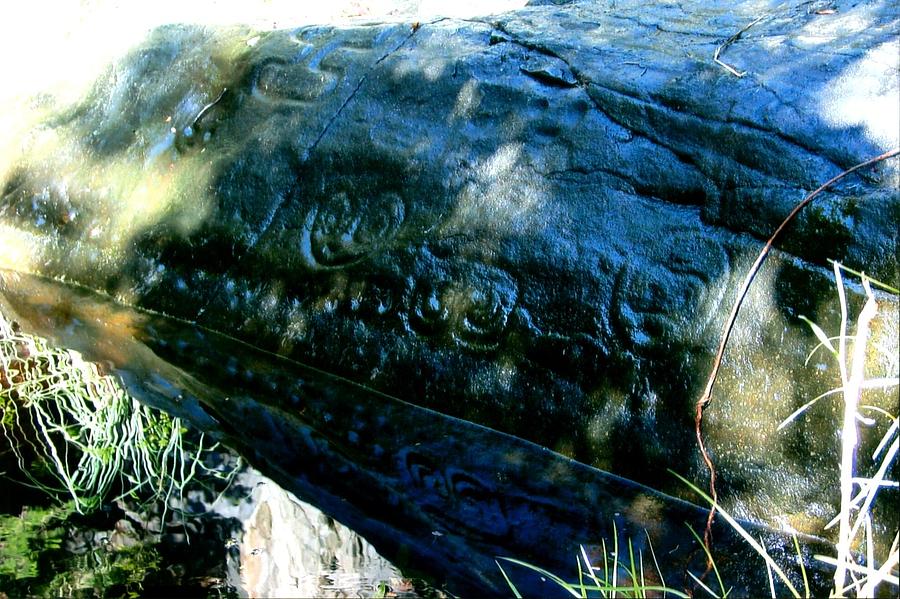 Petroglyphs Photograph by Robert Nickologianis