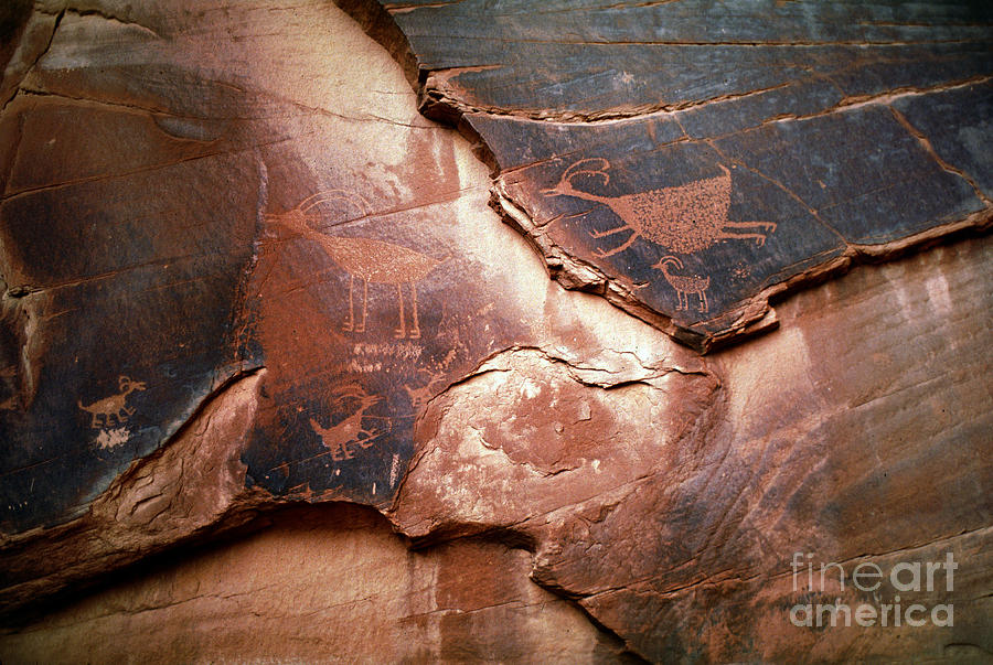 Petroglyphs Photograph by Wernher Krutein