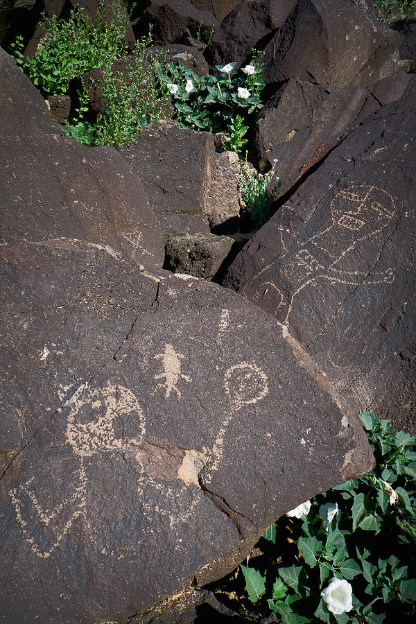 Petroglyphs with Sacred Datura Photograph by Mary Lee Dereske