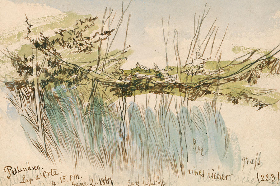 Pettenasco, Lago dOrta Drawing by Edward Lear