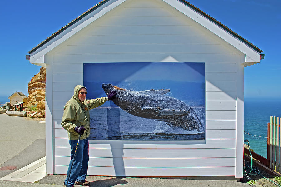 Petting the Humpback Whale at Point Reyes National Seashore, California Photograph by Ruth Hager